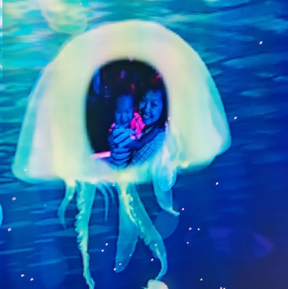 Meet your Posher, Jing - Picture 1 of 1